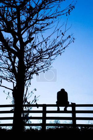 Photo for Silhouette of a man sitting alone at the fence near the withered tree with a dark blue sky background. - Royalty Free Image