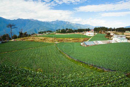 Photo for Panoramic view of Fushoushan Farm in Taichung, Taiwan. - Royalty Free Image