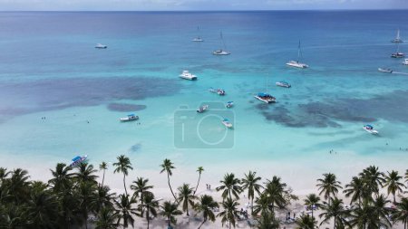 Téléchargez les photos : Saona island tropical beach in Caribbean sea  Dominican Republic birds view - en image libre de droit