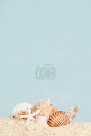 Shells on sandy beach, vertical blue background with copy space