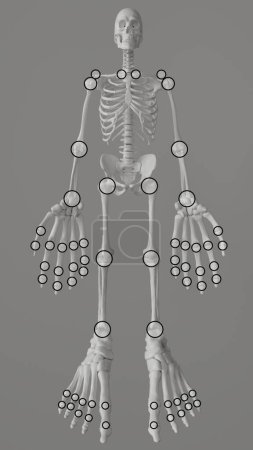 Photo for Joint manikin for determining painful swollen joints -- 3D rendering - Royalty Free Image