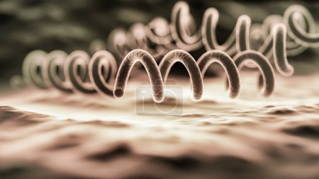Treponema pallidum Bakterium, hervorgehoben durch detaillierte Texturen, die seine spiralförmige Form betonen. Darstellung der Interaktion der Bakterien mit ihrer Umwelt.