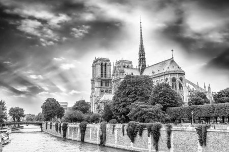 Foto de Hermoso cielo sobre Notre Dame, París
. - Imagen libre de derechos