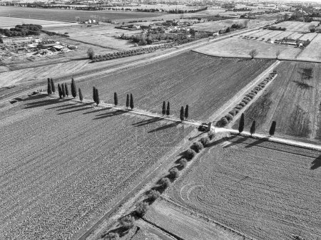 Foto de Vista aérea de campos arados listos para plantar. - Imagen libre de derechos