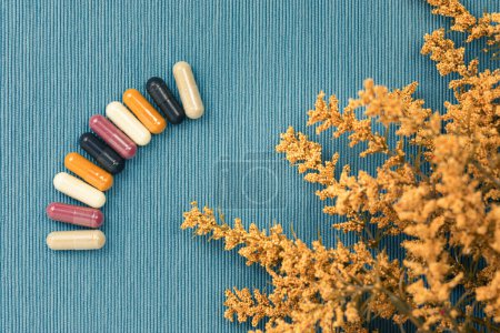Téléchargez les photos : Top view of a variety of vitamin and mineral supplements in capsules. Multicolored pills in orange, red, white, black on a blue textured background. Decorative dried plant in golden brown. - en image libre de droit