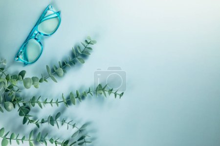 Téléchargez les photos : Une paire de lunettes de lecture bleues et une plante verte sur un bleu solide - en image libre de droit