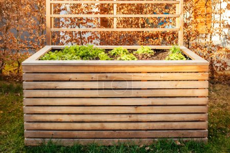 Home Grown Vegetables in Garden Raised Bed. Modern Wooden High Warm Garden Bed for Growing Herbs and Spices in Early Spring.