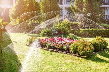 Landscape Automatic Garden Watering System with Sprinklers. Landscape Design with Lawn, Flower Bed and Garden Tree irrigated with Smart Autonomous Sprayers at sunset.