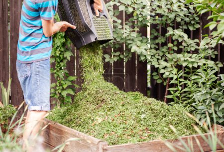 Foto de Jardinero arrojando hierba de cortacésped a la papelera de compost en el jardín. Preparación de compost, reciclaje de residuos para fertilizantes orgánicos. - Imagen libre de derechos