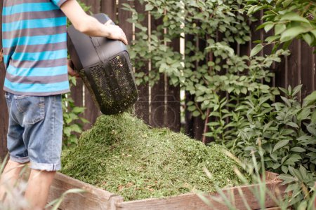 Foto de Jardinero arrojando hierba de cortacésped a la papelera de compost. Reciclaje de césped de corte de residuos de jardín a fertilizante orgánico en Composter. - Imagen libre de derechos