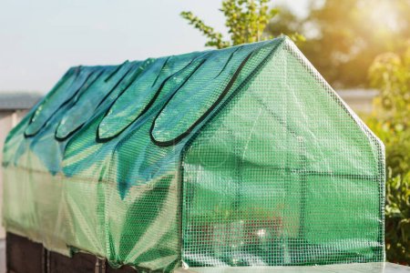 Foto de Mini invernadero de polietileno verde en cama elevada. Casa verde jardín moderno para el cultivo de plántulas vegetales o hierbas. - Imagen libre de derechos
