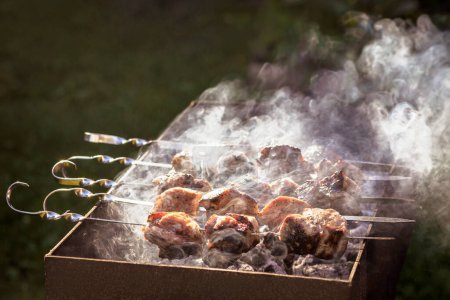 Grilled Meat Kebab Steaks on Skewer. Beef Fat Meat in Fire Grill Charcoal. Preparing  Meat over hot Charcoal Grill. Picnic with Fried Food with Smoke.
