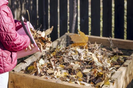 Compost Feuilles d'automne. Jeter les feuilles tombées au combat dans la poubelle Compost à Green City. Recyclage des déchets automnaux des feuilles d'automne. Clean Garden. Espace de copie.