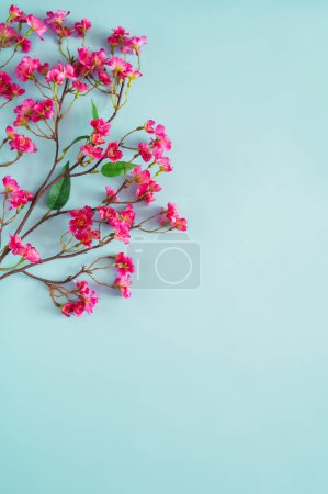 Foto de Rosa flor china sobre fondo azul para el concepto de año nuevo chino. - Imagen libre de derechos