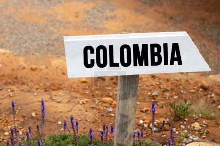 Foto de Señal de madera blanca con la palabra Colombia en una luz brillante - Imagen libre de derechos