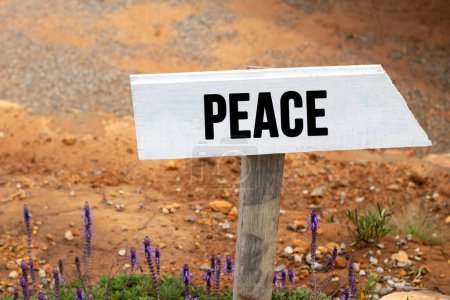 Foto de Señal de madera blanca con la palabra paz en una luz brillante - Imagen libre de derechos