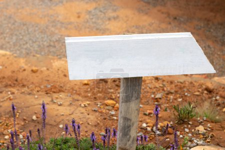 Foto de Letrero de madera blanco enterrado en el suelo con una luz brillante - Imagen libre de derechos