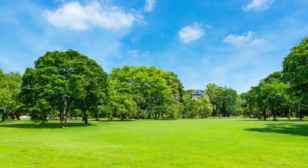 Téléchargez les photos : Beau parc avec de beaux arbres en arrière-plan et ciel bleu avec des nuages blancs - en image libre de droit