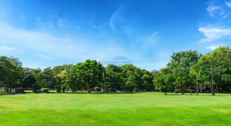 Téléchargez les photos : Beau parc avec des arbres en arrière-plan HD - en image libre de droit