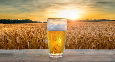 Photo for Glass of beer on a table in a wheat field with the sunbeam in the background - Royalty Free Image