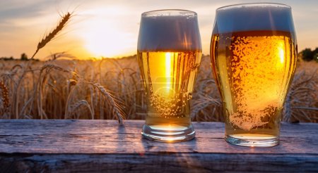 Photo for Glass of wheat beer in a wheat field with a sunbeam in the background HD - Royalty Free Image