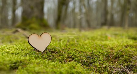 beautiful wooden heart in the middle of a green forest in detail in high resolution and sharpness HD