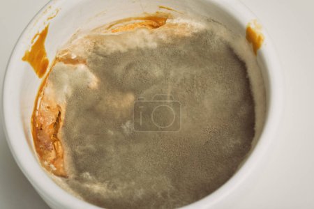 Téléchargez les photos : Several weeks old mold developed on rest of sauce food - en image libre de droit