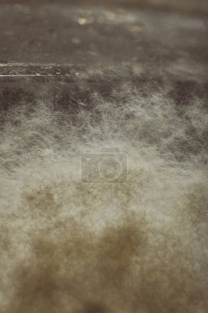 Photo for Several weeks old mold developed on rest of food in glass - Royalty Free Image