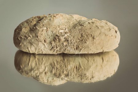 Foto de Several weeks old mold developed on bread roll - Imagen libre de derechos