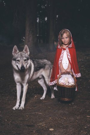 Téléchargez les photos : Petit chaperon rouge avec panier de nourriture rencontré loup dans la forêt profonde - en image libre de droit