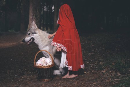 Photo for Little red riding hood with basket of food met wolf in deep forest - Royalty Free Image