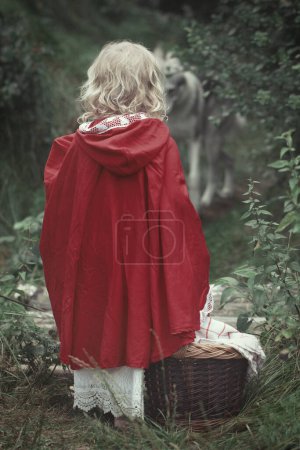 Foto de Caperucita roja con cesta de comida encontró lobo en bosque profundo - Imagen libre de derechos