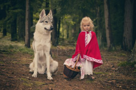 Photo for Little red riding hood with basket of food met wolf in deep forest - Royalty Free Image