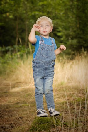 Photo for Small boy dressed in jeans posing on stump and footpath in forest - Royalty Free Image