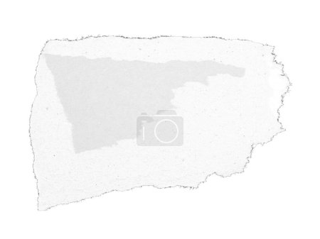 Téléchargez les photos : Une feuille de papier déchirée en morceaux isolés sur fond blanc - en image libre de droit