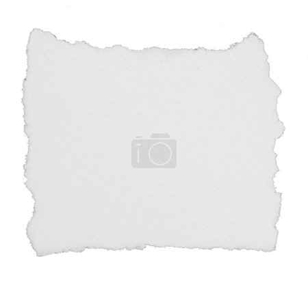 Téléchargez les photos : Une feuille de papier déchirée en morceaux isolés sur fond blanc - en image libre de droit