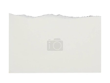Téléchargez les photos : Papier carnet rayé isolé sur fond blanc - en image libre de droit