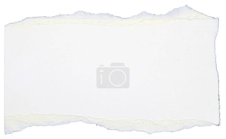 Pieces of torn scrapbook paper isolated on white background