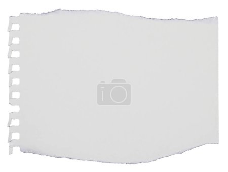 Téléchargez les photos : Morceaux de papier déchiré pour album isolé sur fond blanc - en image libre de droit