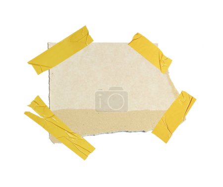 Foto de Una hoja de papel desgarrada en pedazos aislada sobre fondo blanco - Imagen libre de derechos