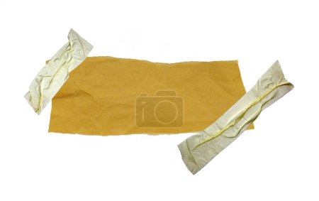 Foto de Una hoja de papel desgarrada en pedazos aislada sobre fondo blanco - Imagen libre de derechos