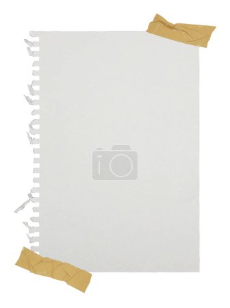 Foto de Papel blanco aislado sobre fondo blanco - Imagen libre de derechos