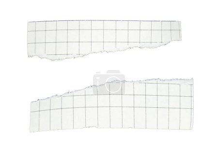 feuilles de papier quadrillées vierges ou pages de bloc-notes isolées sur fond blanc