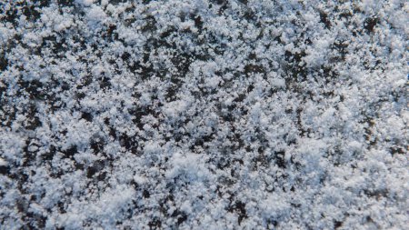 Téléchargez les photos : Neige sur le sol. L'hiver. Bannière Web. - en image libre de droit