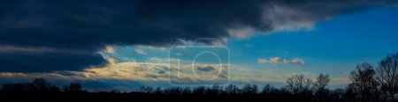 Foto de Bosque, nubes oscuras al atardecer. Primavera temprana. Banner web. - Imagen libre de derechos