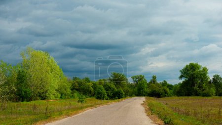 Photo for Forest Before the Rain and Asphalt Road. Natural Background. Web Banner. - Royalty Free Image