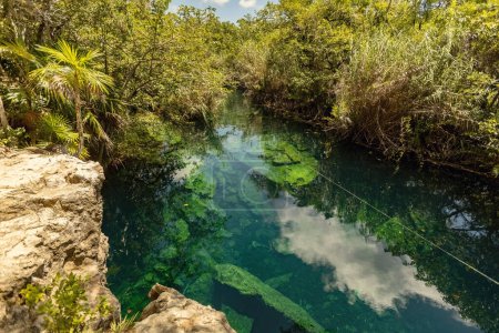 Foto de Increíble cenote de agua turquesa en casa Tortuga en Tulum, belleza natural del cenote mexicano, Tulum, México - Imagen libre de derechos