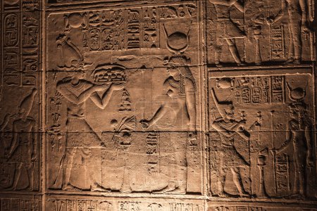 Photo for Stone wall carving at Philae temple in Aswan Upper Egypt - Royalty Free Image