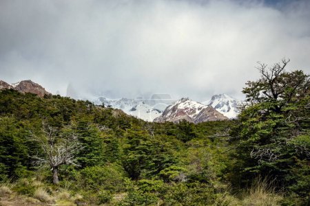 Beautiful nature of Patagonia. Fitz Roy trek, view of Andes mountains, Los Glaciers National Park, El Chalten, Argentina