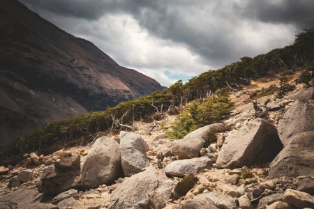Parc national des Torres del Paine trek en Patagonie Chili